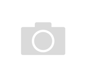 ECM Engine Control Module