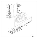 Pinion And Impeller Shaft