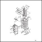 Cylinder Block and Crankcase