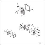 Fuel Pump Assembly