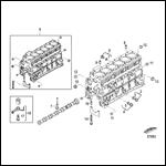 Cylinder Block-Plugs and Pins