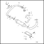 Cooling System-Oil Cooler