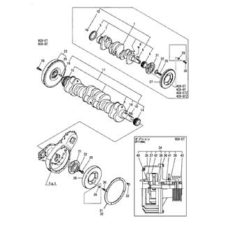 FIG 20. CRANKSHAFT & FLYWHEEL