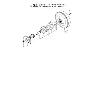 FIG 24. CRANKSHAFT & FLYWHEEL