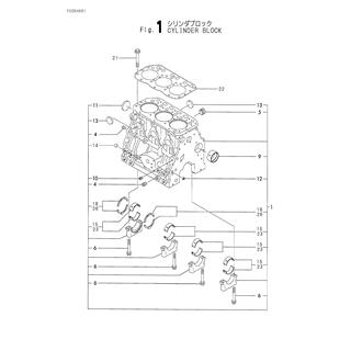 FIG 1. CYLINDER BLOCK