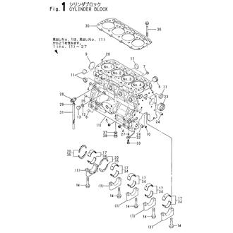 FIG 1. CYLINDER BLOCK